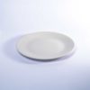 Stoneware - White - dinner-plate-11