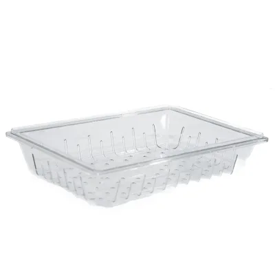 Catering Equipment - lexan-colander